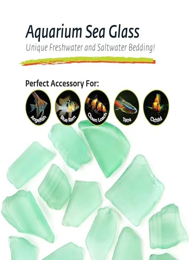 Galapagos (05133 Aquarium Sea Glass, Sage Green, 4lb Bag - Image 3